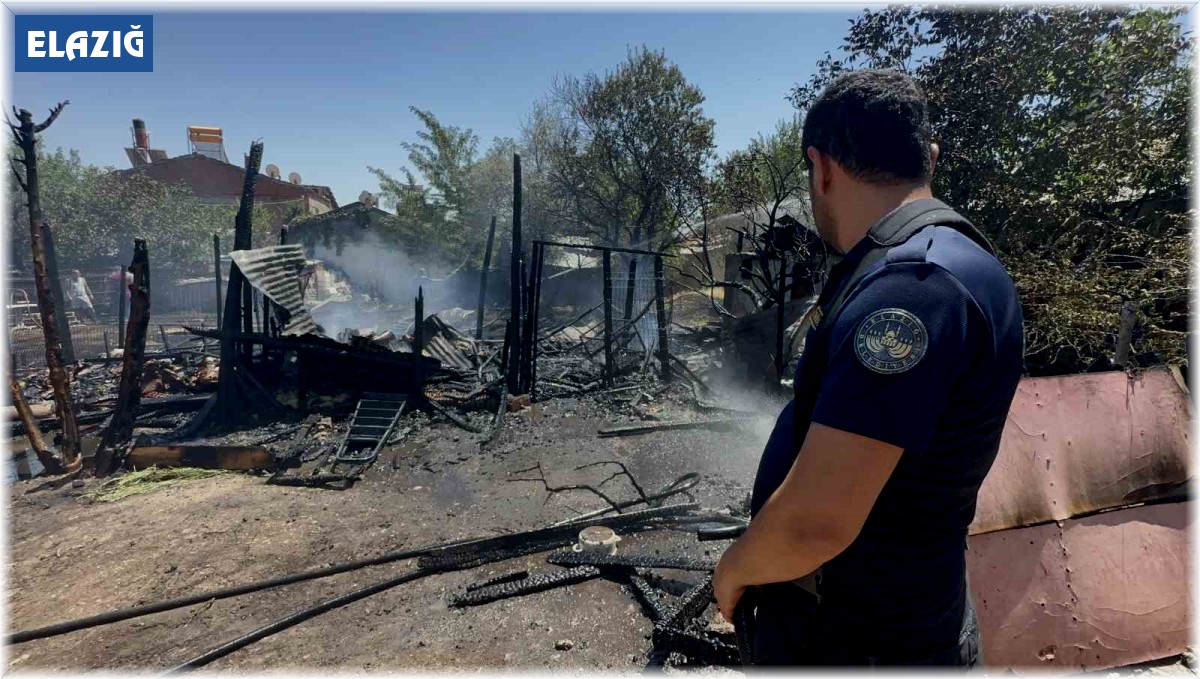 Elazığ'da ahır ve kümes yangını: 15 keçi, 29 tavuk telef oldu