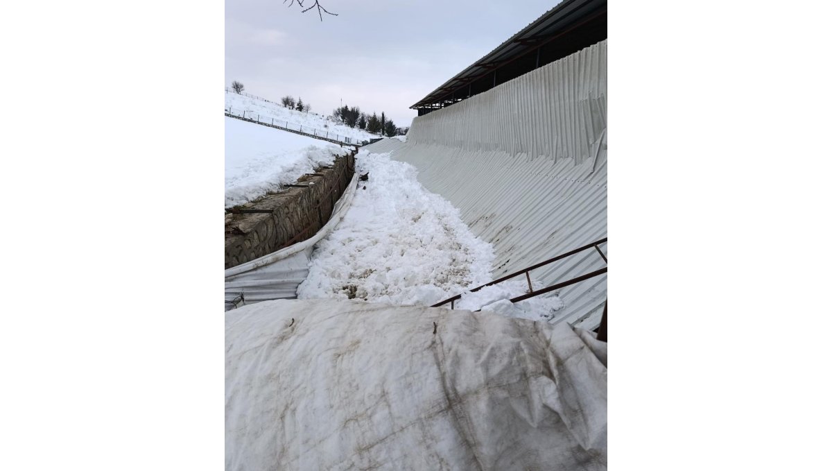 Elazığ'da ahırın tavanı çöktü