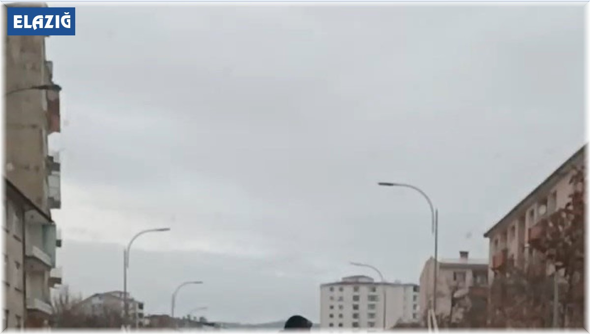 Elazığ'da akıl almaz olay: Seyir halindeki aracın sürücüsünü darp etti