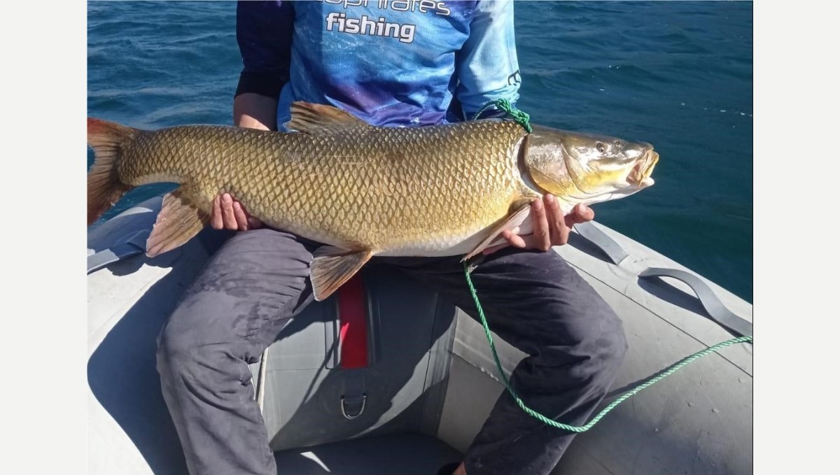 Elazığ'da amatör balıkçı 15 kiloluk dev turna yakaladı