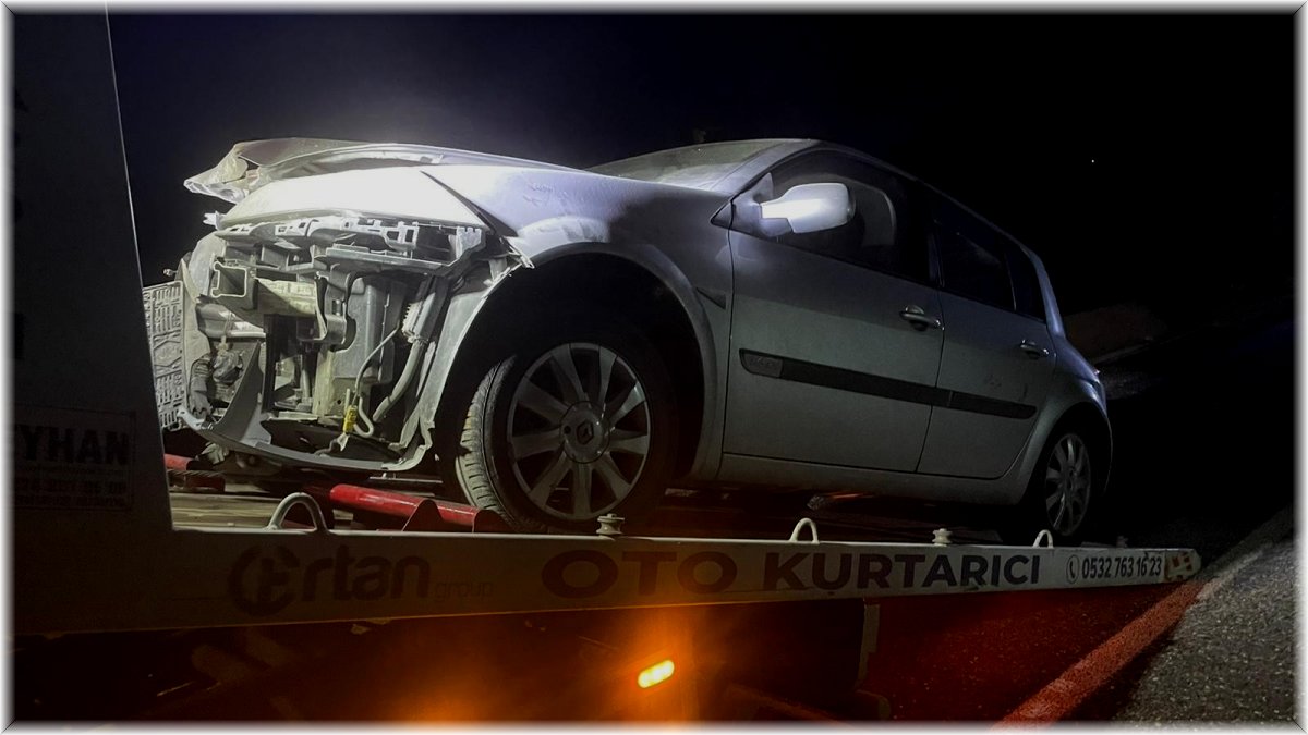 Elazığ'da araç domuz sürüsüne çarptı: 2 yaralı