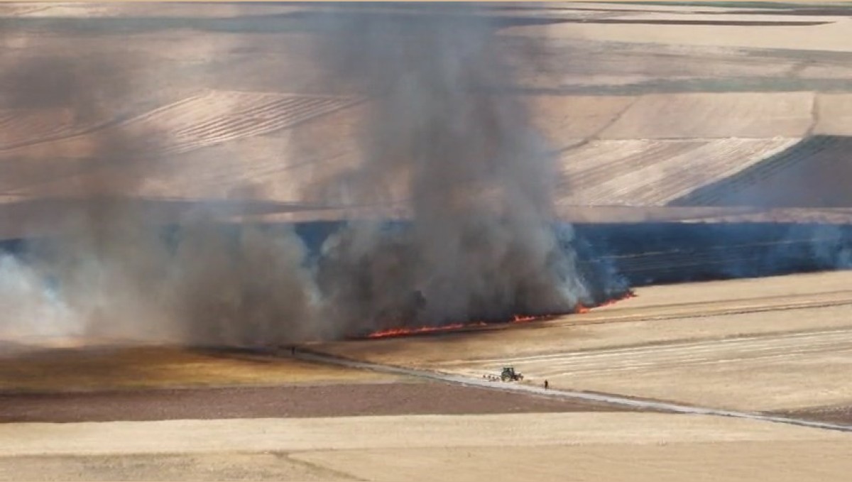 Elazığ'da arazi yangını, ekili alanlarda küle döndü