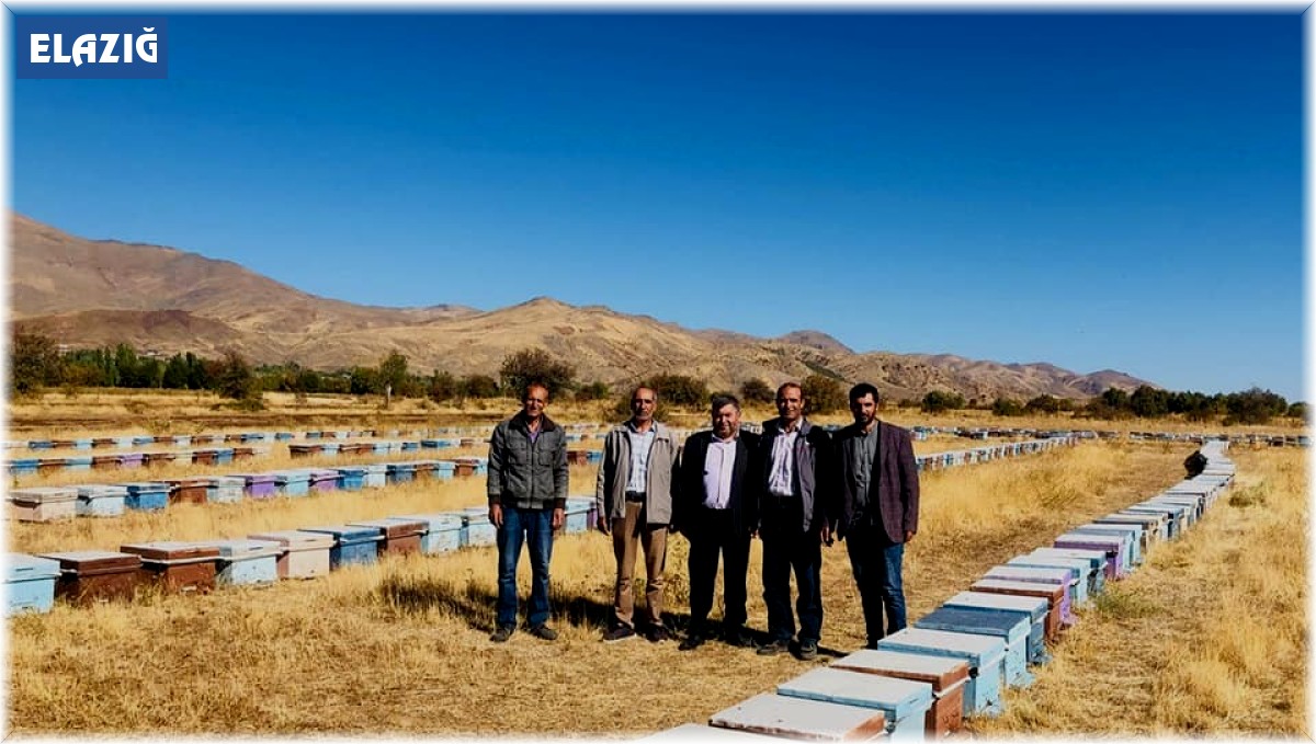 Elazığ'da arılı kovan denetimleri sürüyor