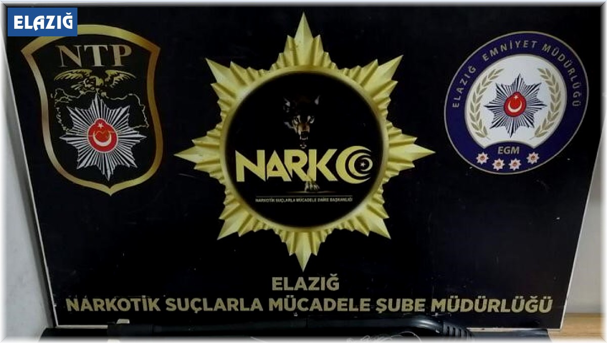 Elazığ'da asayiş operasyonlarında 10 kişi gözaltına alındı