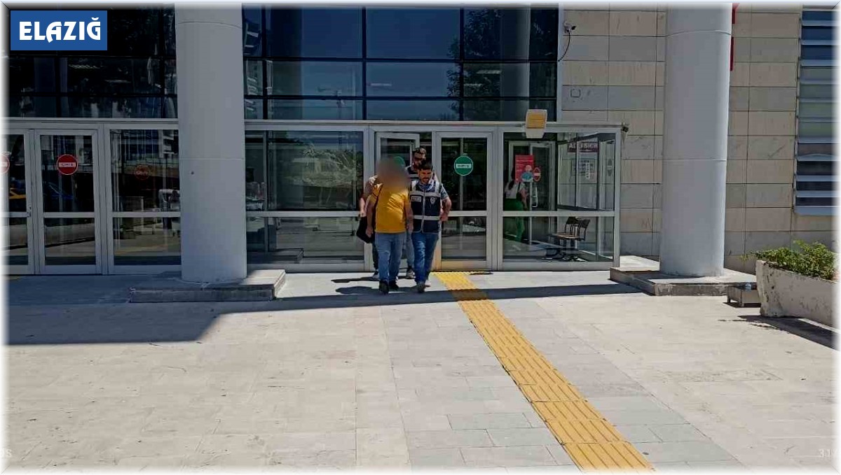 Elazığ'da asayiş ve şok uygulamaları: 12 tutuklama