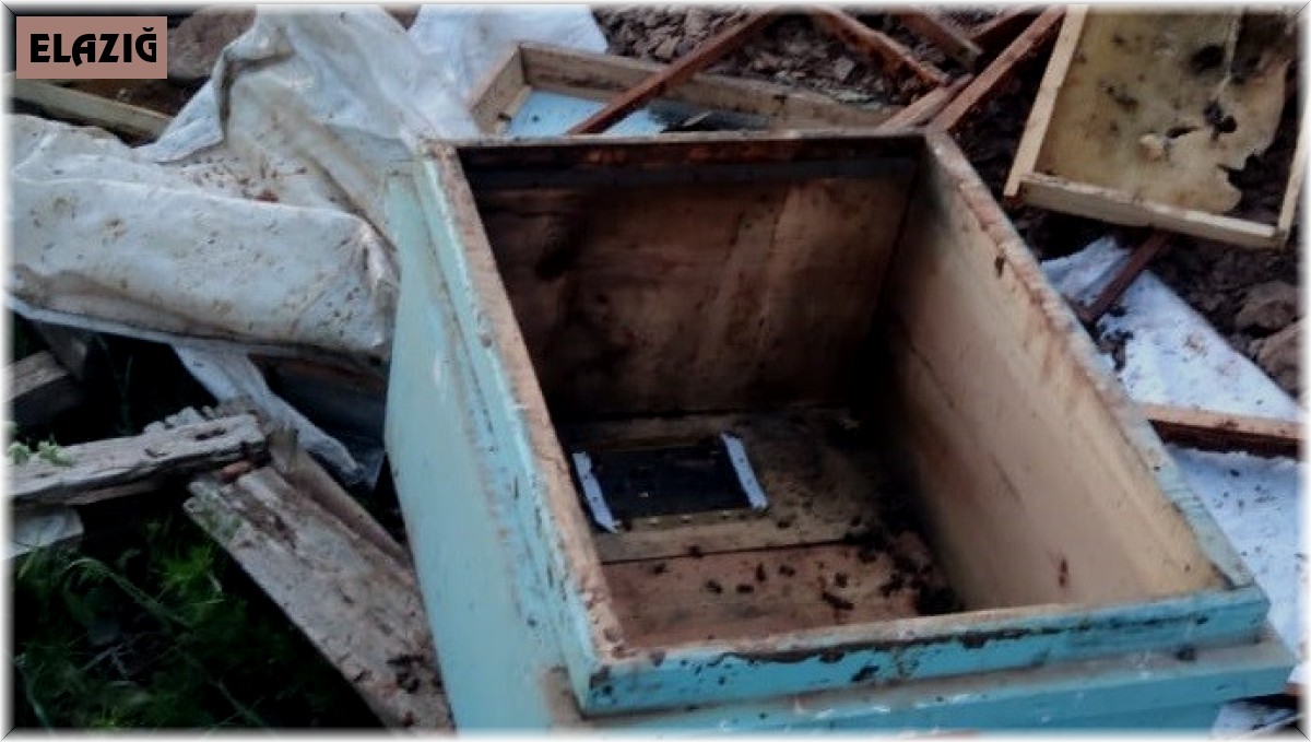 Elazığ'da ayılar arı kovanlarını parçaladı