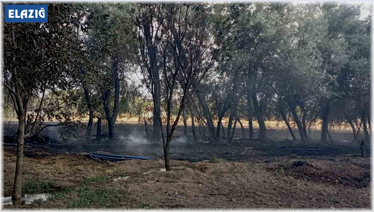 Elazığ'da bahçede korkutan yangın