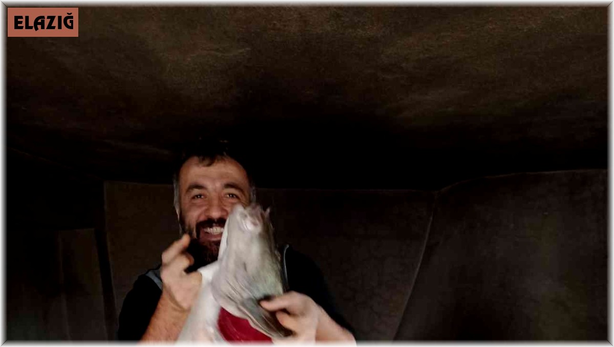 Elazığ'da balıkçılar ağa takılan dev turnalar karşısında şaşkına döndü