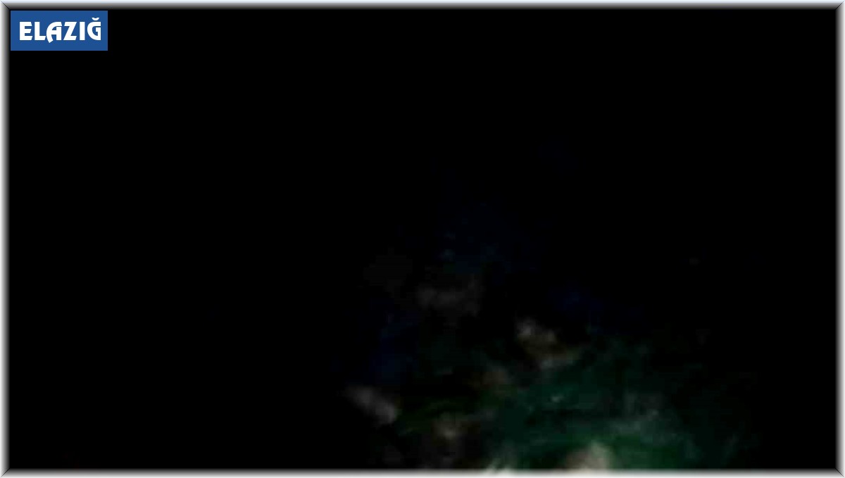 Elazığ'da balıkçının ağına 30 kiloluk Turna balığı takıldı