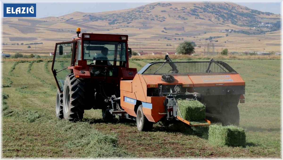 Elazığ'da balyalama mesaisi başladı
