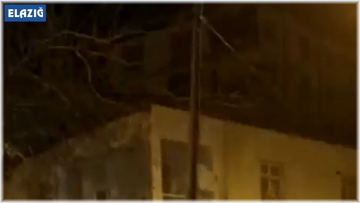 Elazığ'da başıboş atlar cadde ve sokaklarda ilginç görüntüler oluşturdu