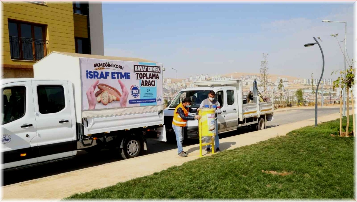 Elazığ'da bayat ekmek ve artık yemekler mamaya dönüşüyor