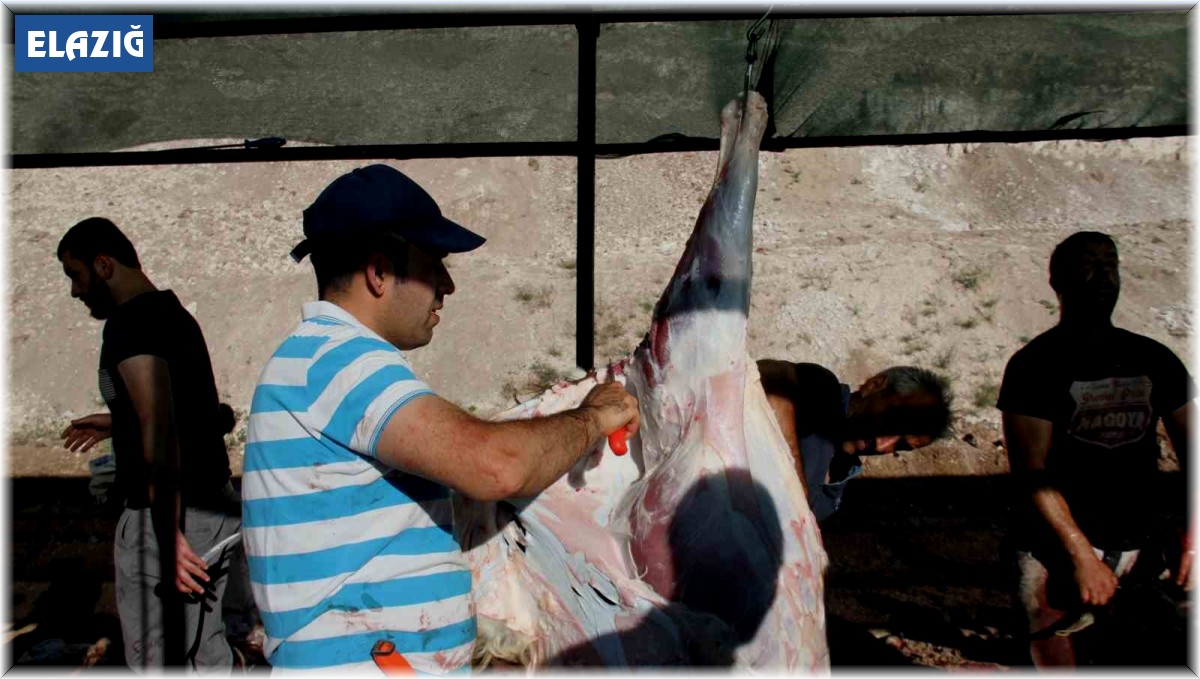 Elazığ'da bayram namazından çıkan vatandaşlar, kurbanlarını kesti