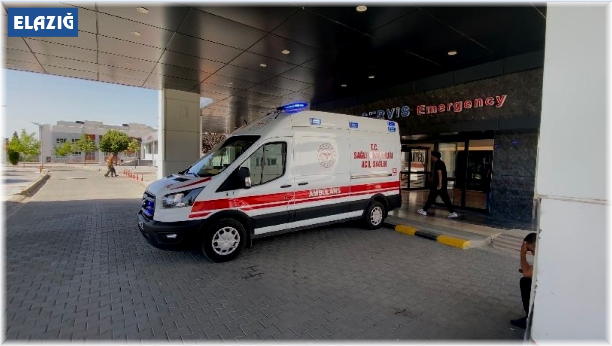 Elazığ'da bayramın ilk günü 27 acemi kasap hastanelik oldu