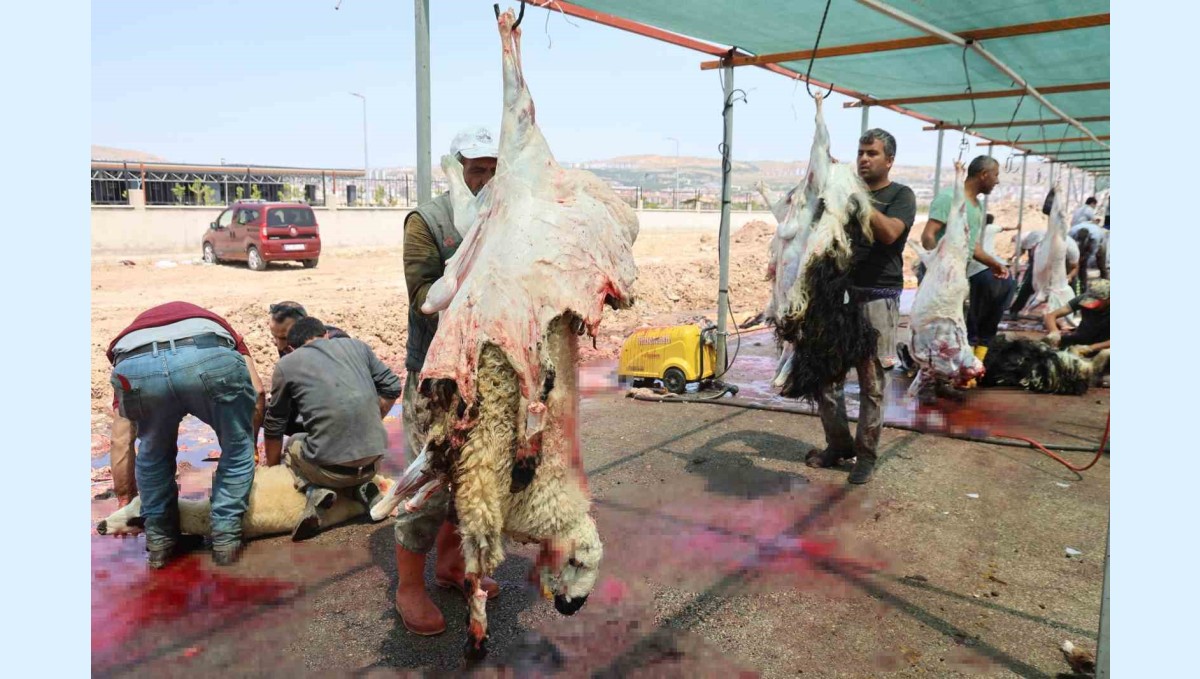 Elazığ'da bayramın üçüncü günü de kurban kesimi devam etti