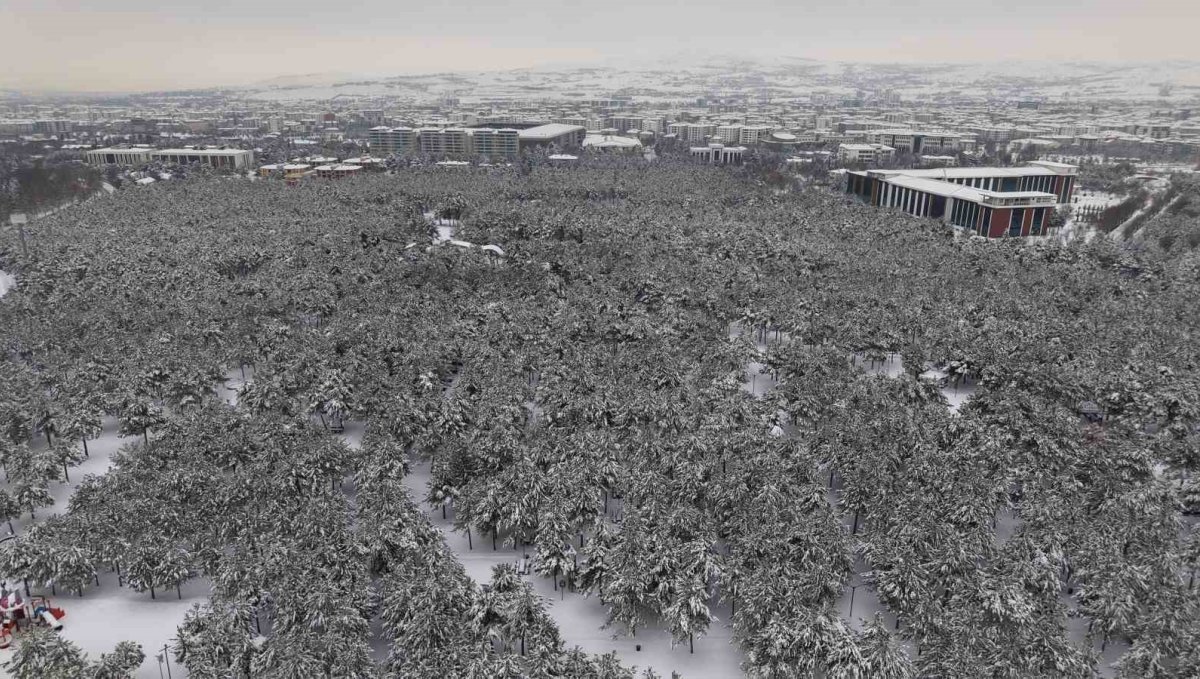 Elazığ'da beton yığınlarının arasındaki beyaz vaha mest etti