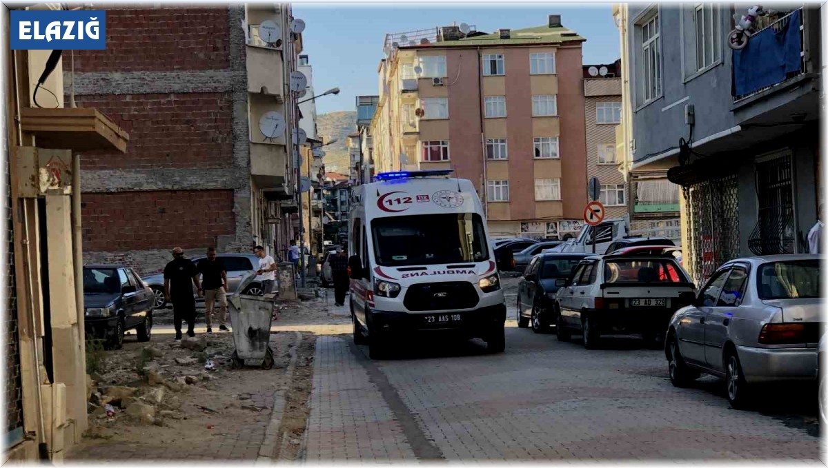 Elazığ'da bıçaklı kavga:1