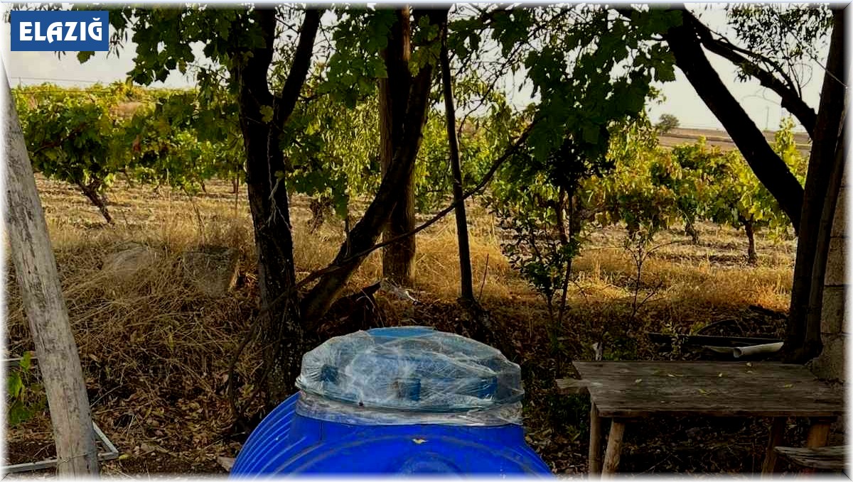 Elazığ'da bin litre kaçak şarap ele geçirildi