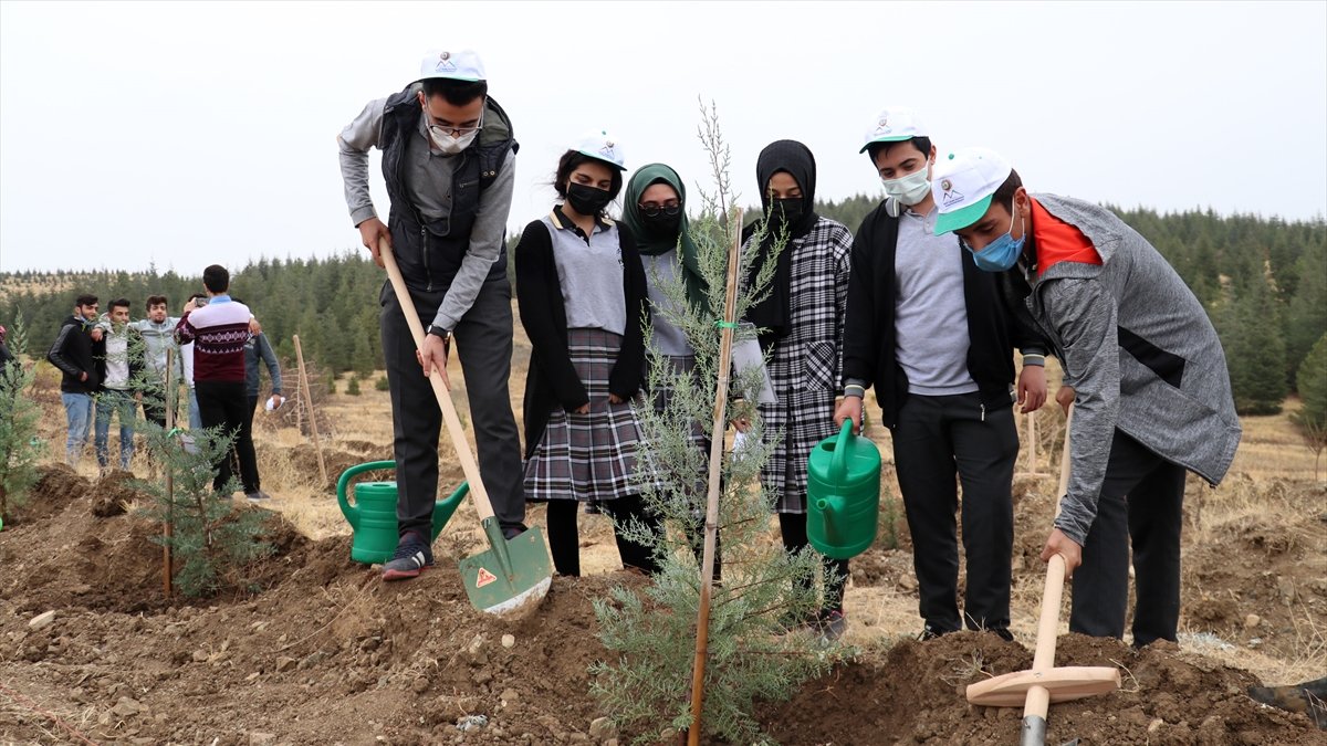 Elazığ'da bir ayda 223 bin fidan toprakla buluşturulacak