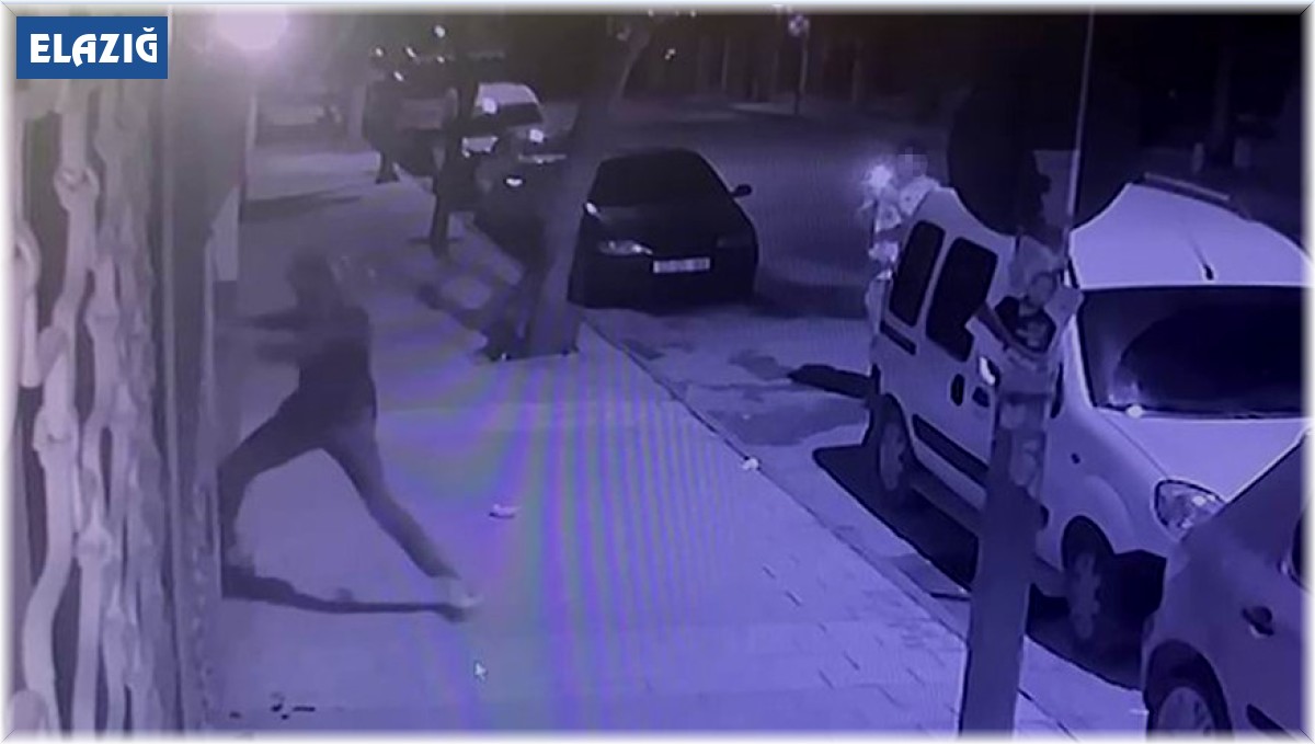 Elazığ'da bir garip olay: Biri kırdı, diğeri kaydetti