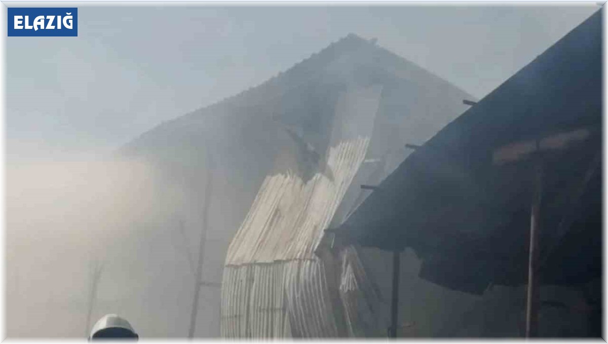 Elazığ'da bir günde 15 farklı yangın