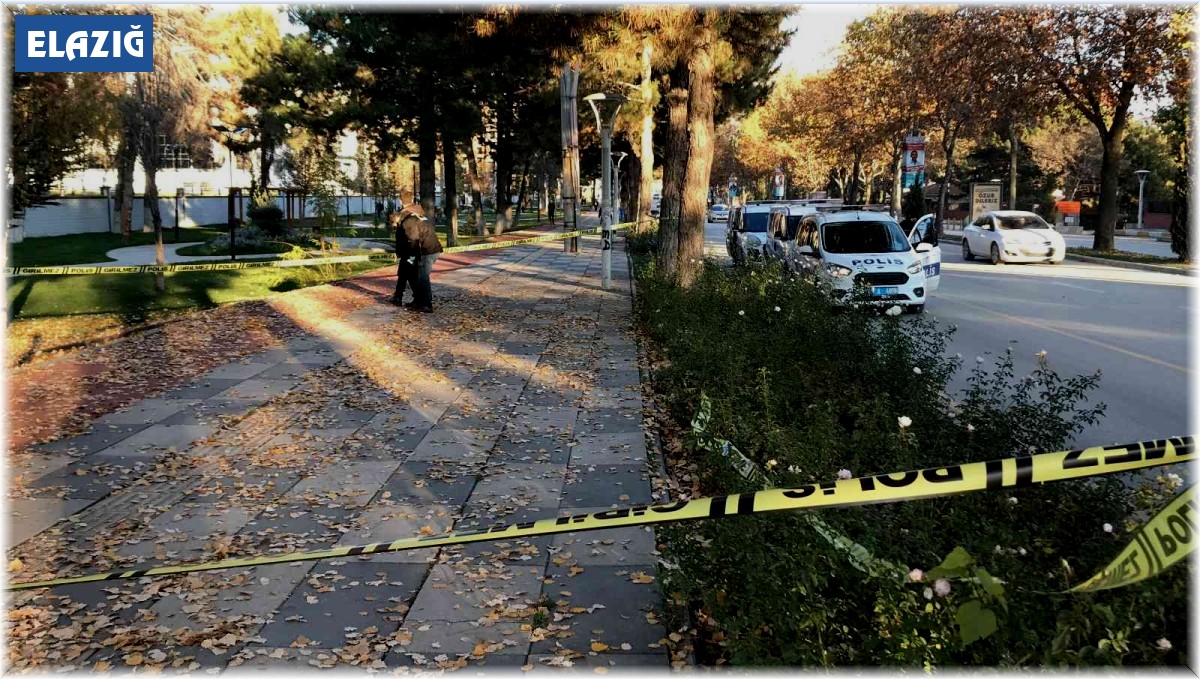 Elazığ'da bir kişinin yaralandığı silahlı kavgada, 3 gözaltı