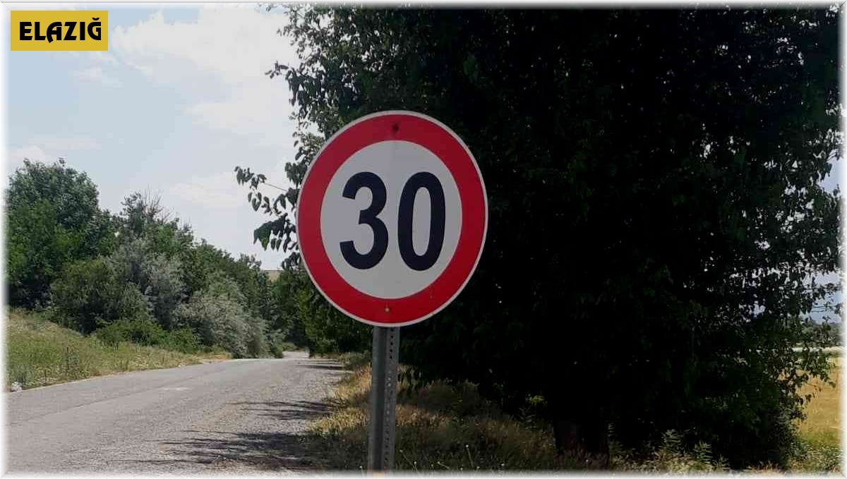 Elazığ'da bir köy kuduz vakasıyla karantinaya alındı