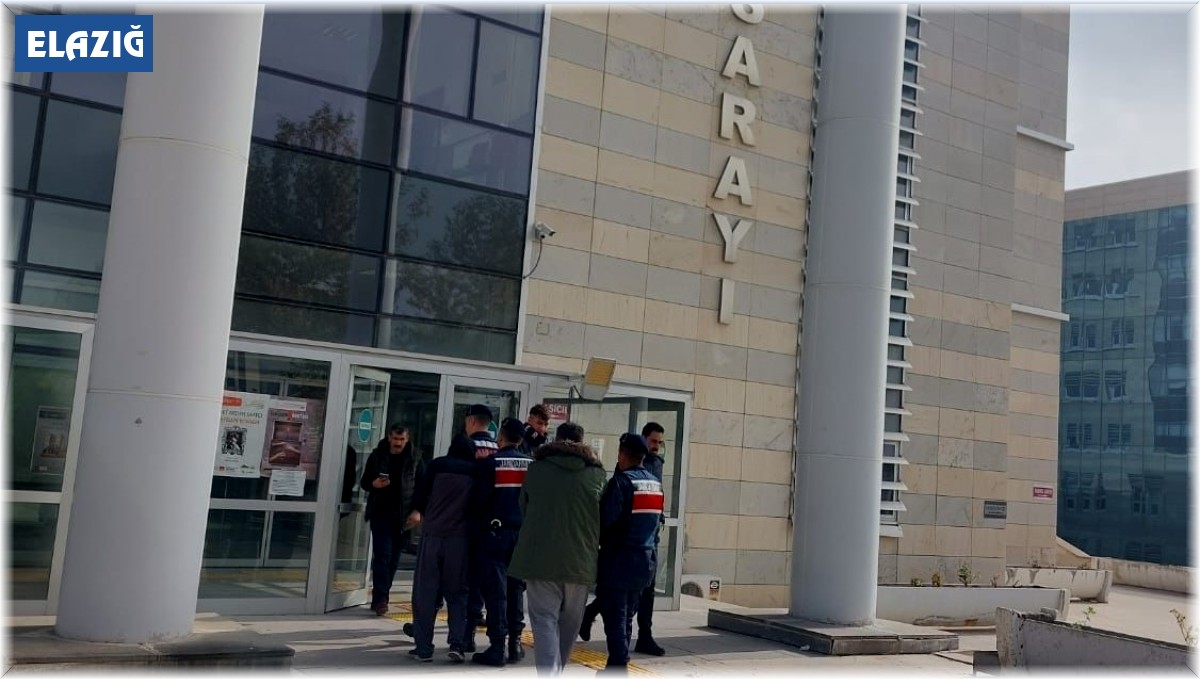 Elazığ'da bir köyü soyan hırsızlar, jandarmaya yakalandı