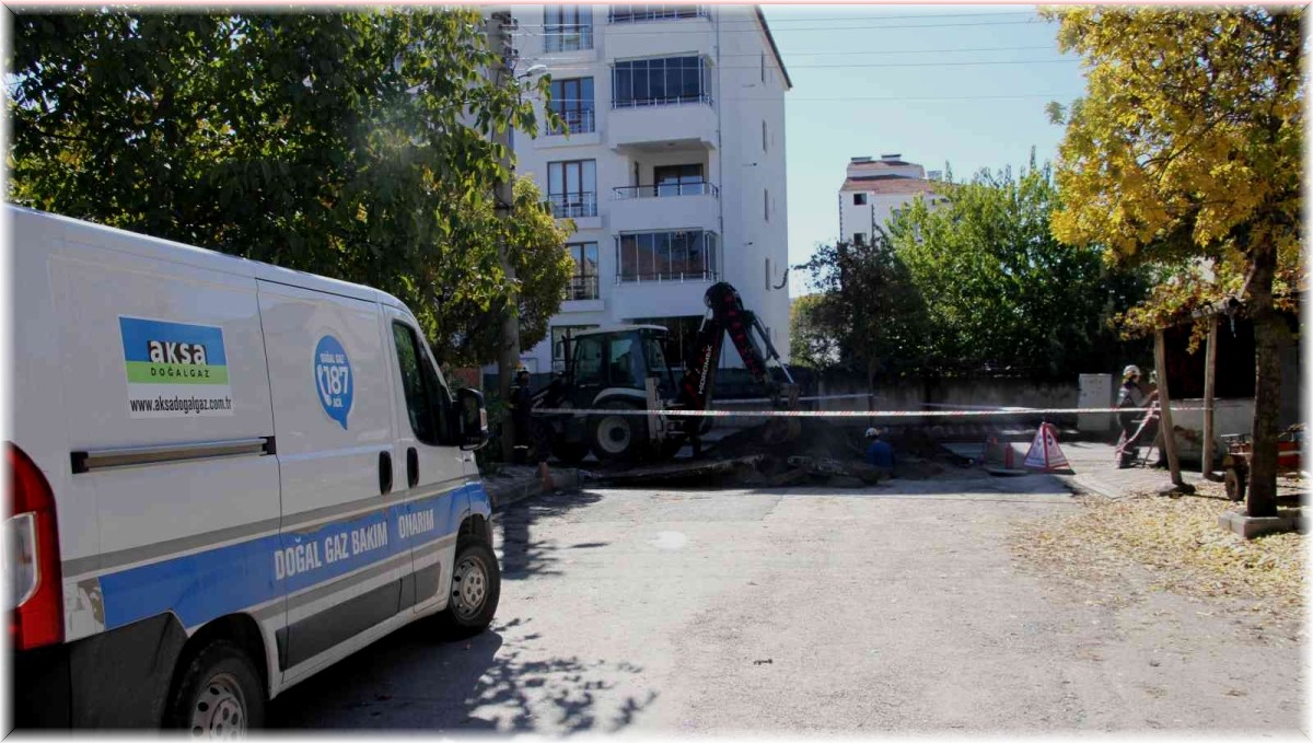 Elazığ'da bir mahalle diken üstünde