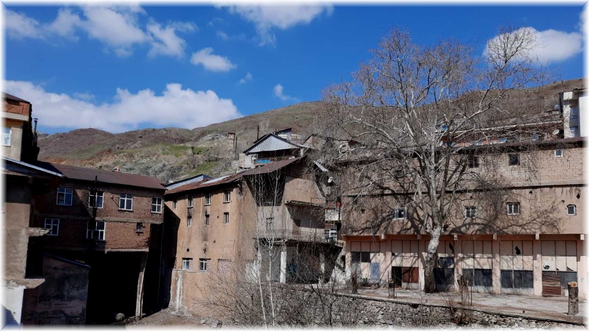 Elazığ'da bulunan 115 yıllık 'Dua çınarı' tescillendi