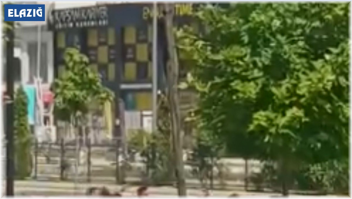 Elazığ'da cadde ortasındaki kavga kameralara yansıdı