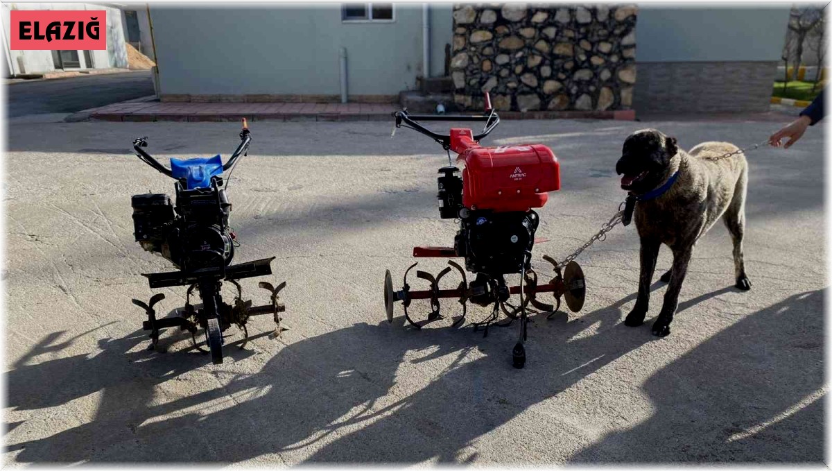 Elazığ'da çapa motoru ve kangal köpeği çalan şüpheliler yakalandı