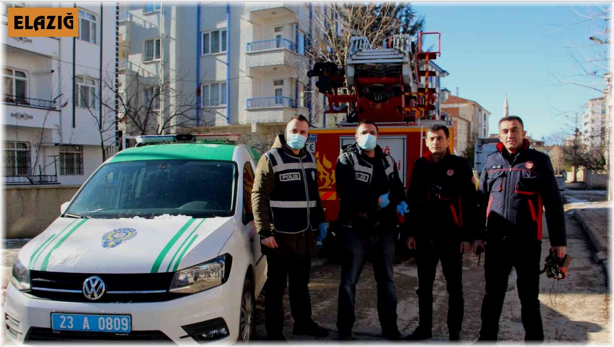 Elazığ'da çatıda mahsur kalan kedi için HAYDİ ve itfaiye ekipleri seferber oldu