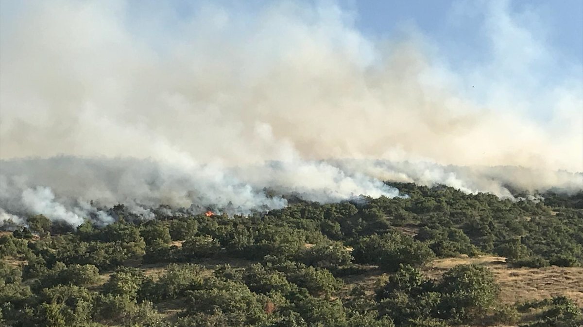 Elazığ'da çıkan orman yangınına müdahale ediliyor