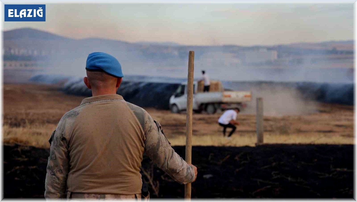 Elazığ'da çıkan yangında 400 ton saman kül oldu