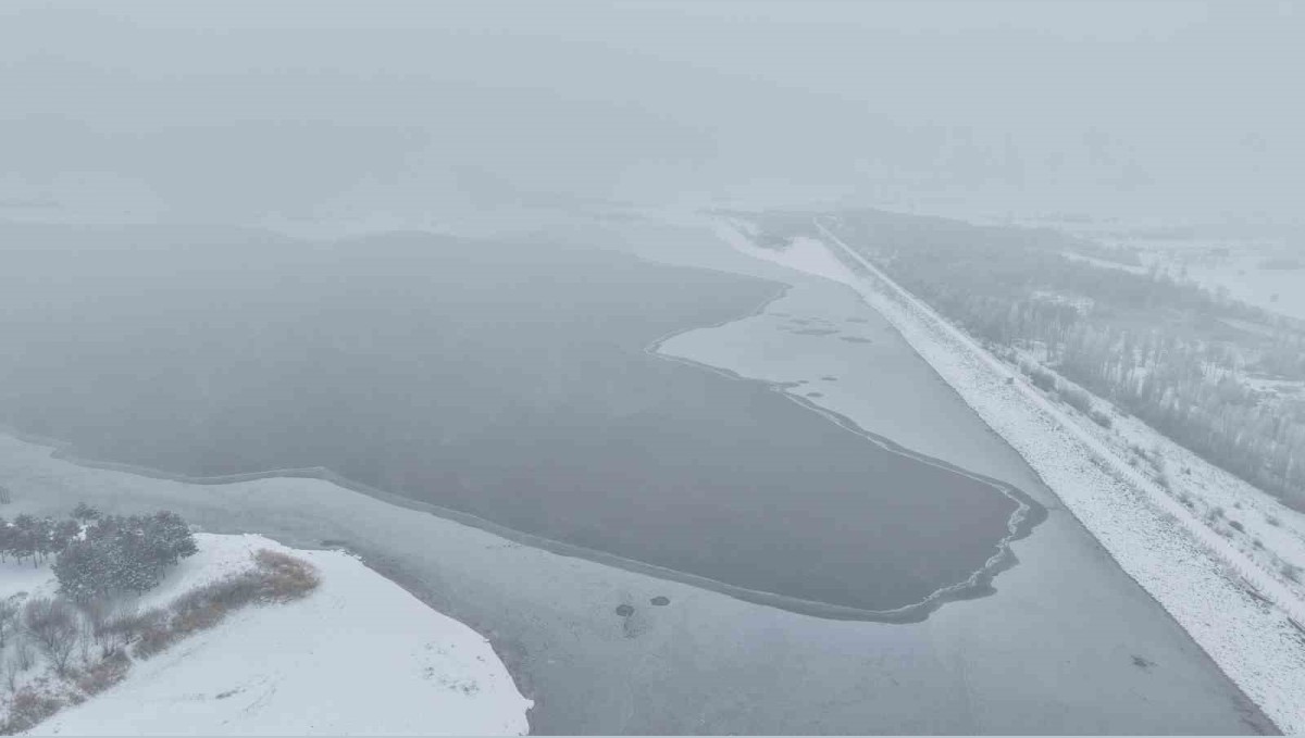 Elazığ'da Cip Baraj Gölü'nün bazı kısımları buz tuttu