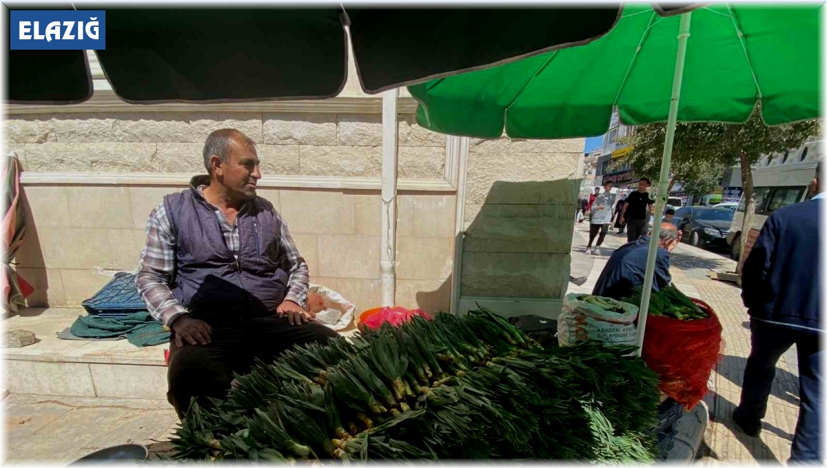 Elazığ'da çiriş otu tezgahlarda yerini aldı