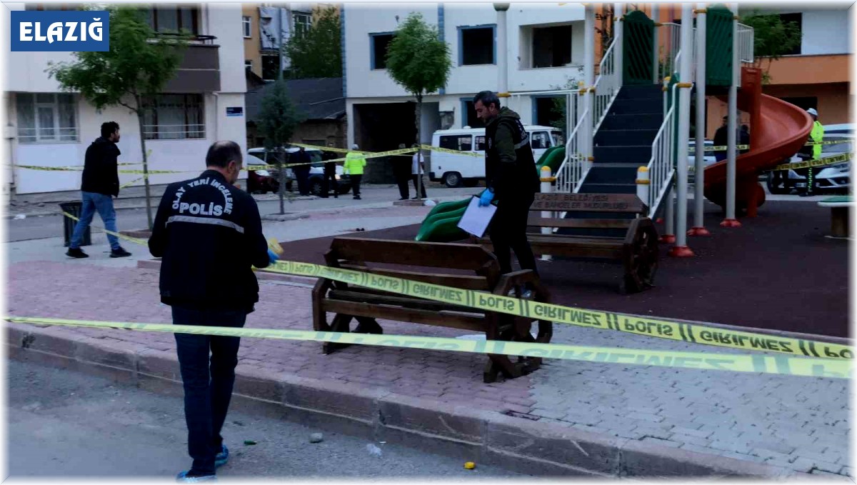 Elazığ'da çocuk oyun parkında pompalı tüfekli saldırı: 3 yaralı