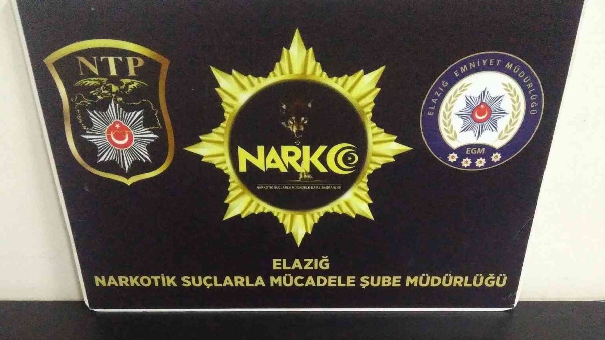 Elazığ'da dedektör köpeği 'Alex' uyuşturucu tacirlerine geçit vermedi: 5 gözaltı