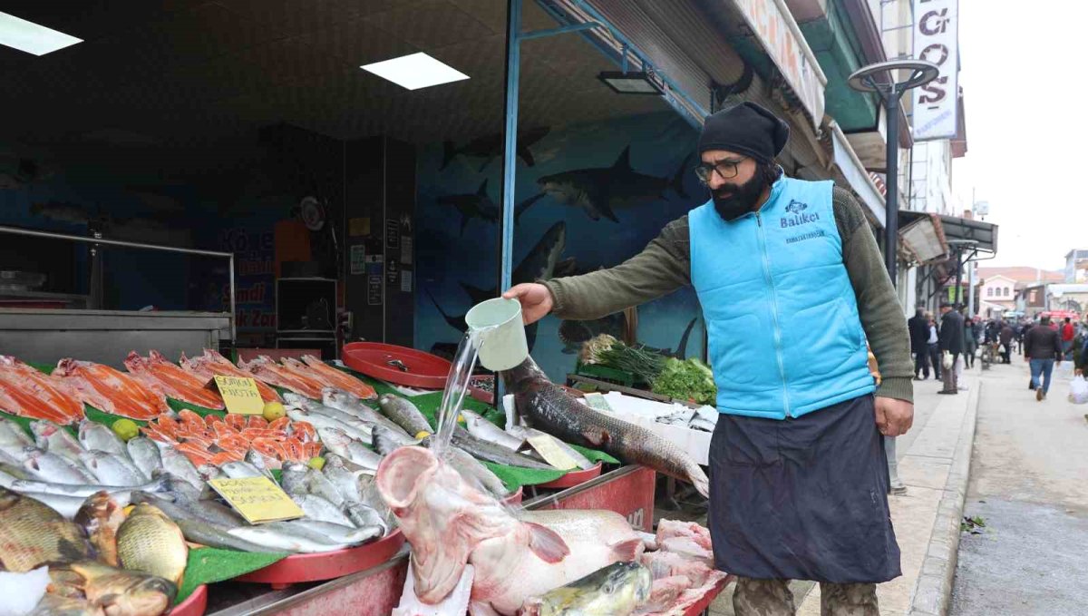 Elazığ'da dev turna yakalandı