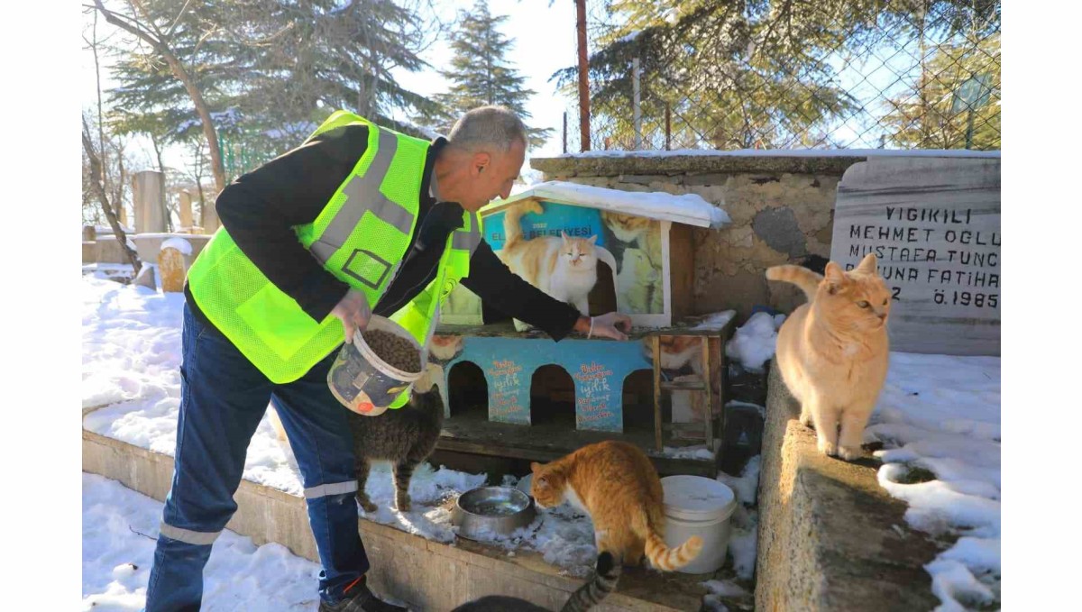 Elazığ'da doğaya yem bırakıldı