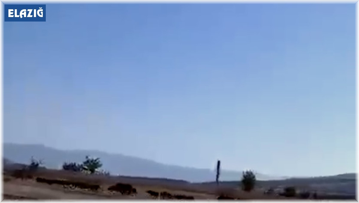 Elazığ'da domuz sürüsü görüntülendi