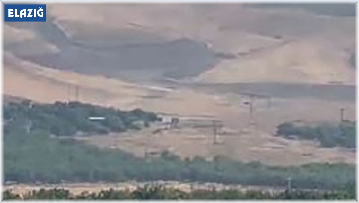 Elazığ'da domuz sürüsü görüntülendi