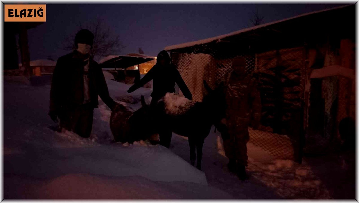 Elazığ'da donmak üzere olan hayvanlar kurtarıldı