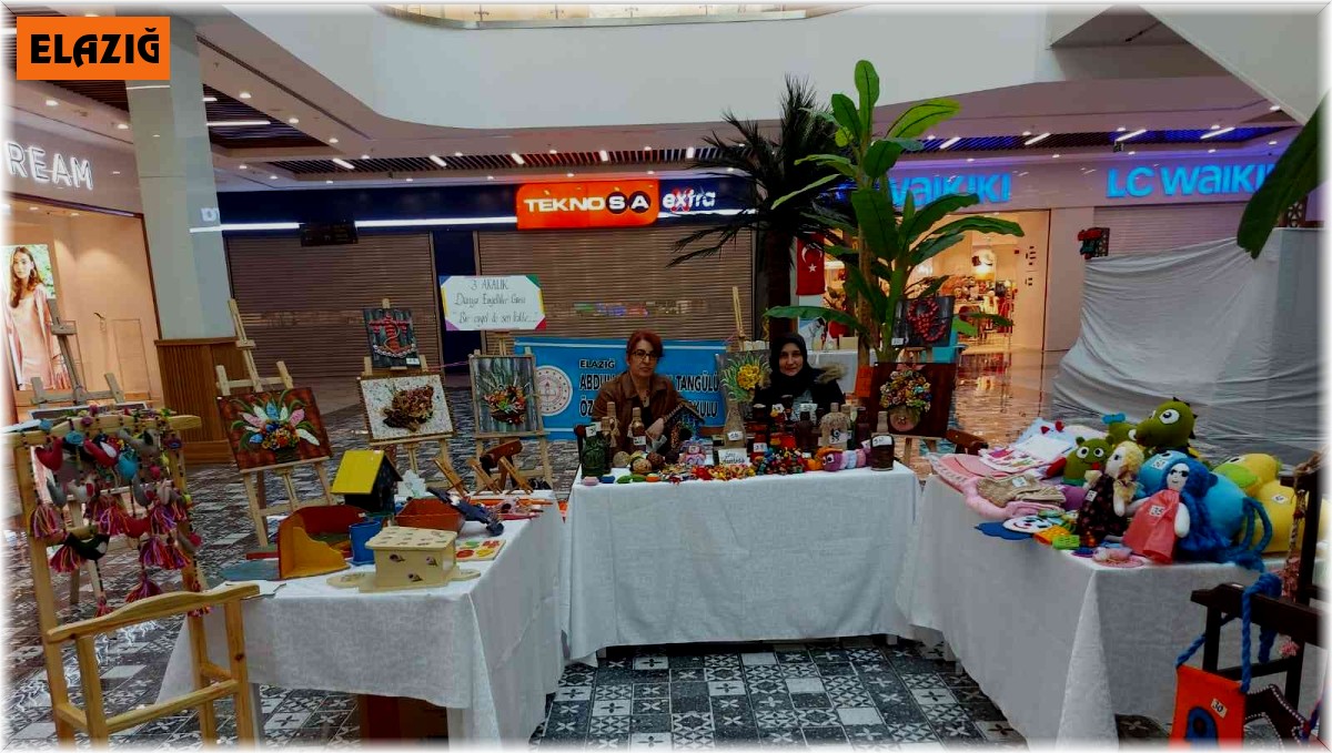 Elazığ'da engelli öğrencilerin yaptığı eserler sergilendi