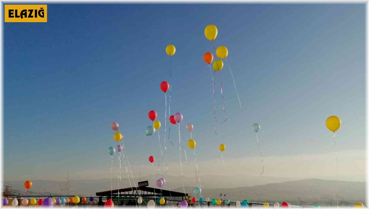 Elazığ'da engelliler dolasıya eğlendi