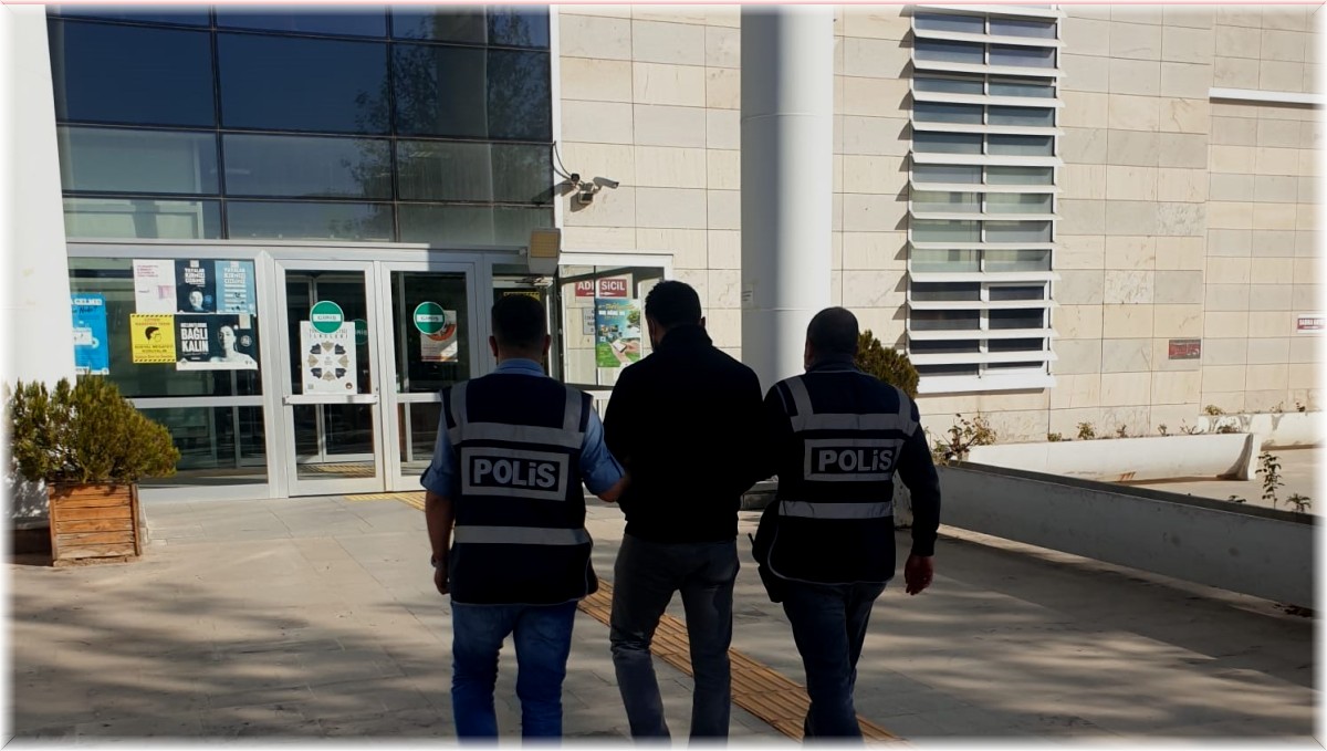 Elazığ'da ev ve otomobil faresi yakalandı