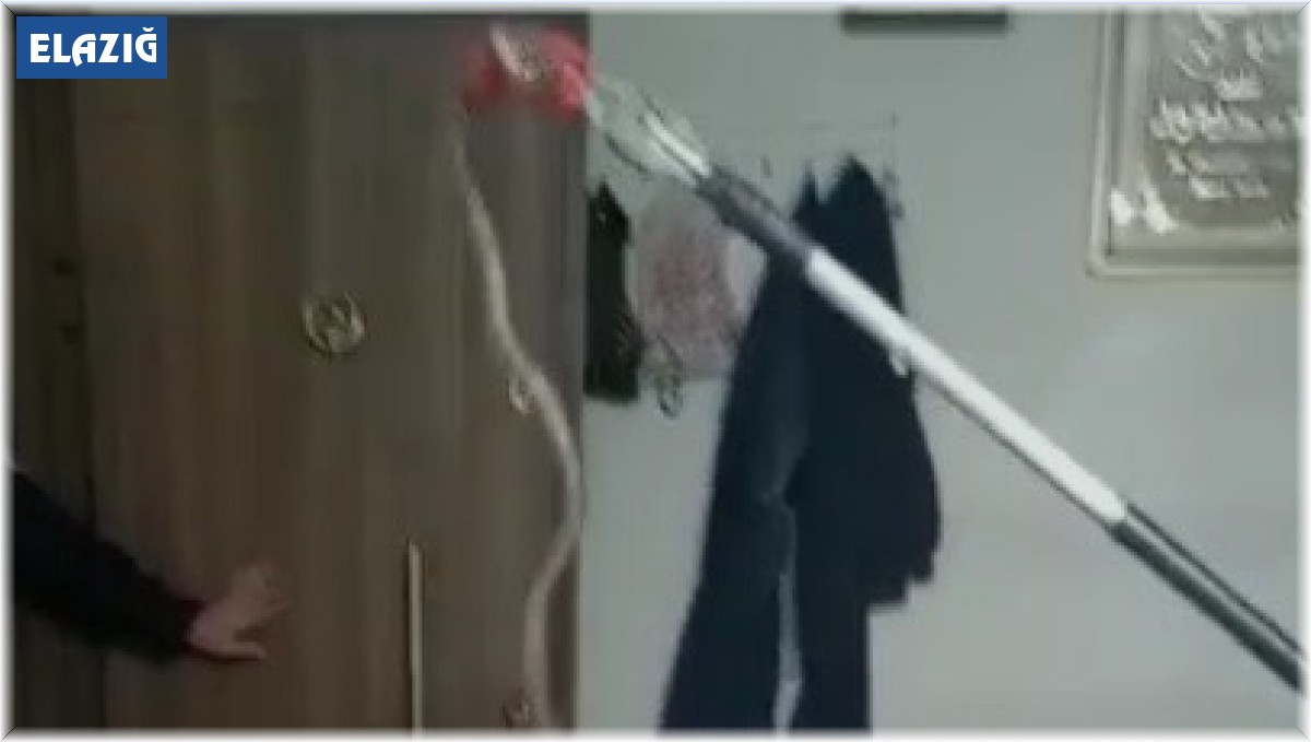 Elazığ'da eve giren 1 metrelik yılan paniğe neden oldu, ailenin yardımına itfaiye ekipleri yetişti