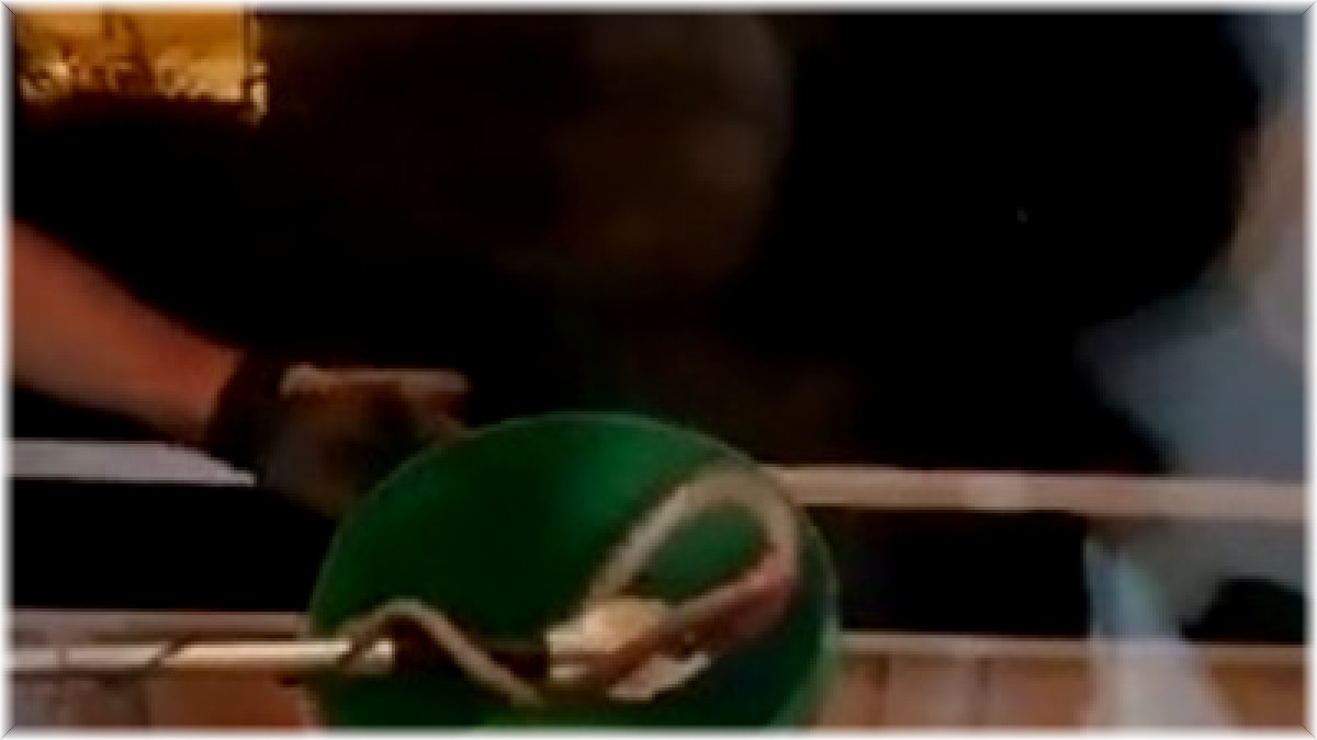 Elazığ'da eve giren yılan paniğe neden oldu