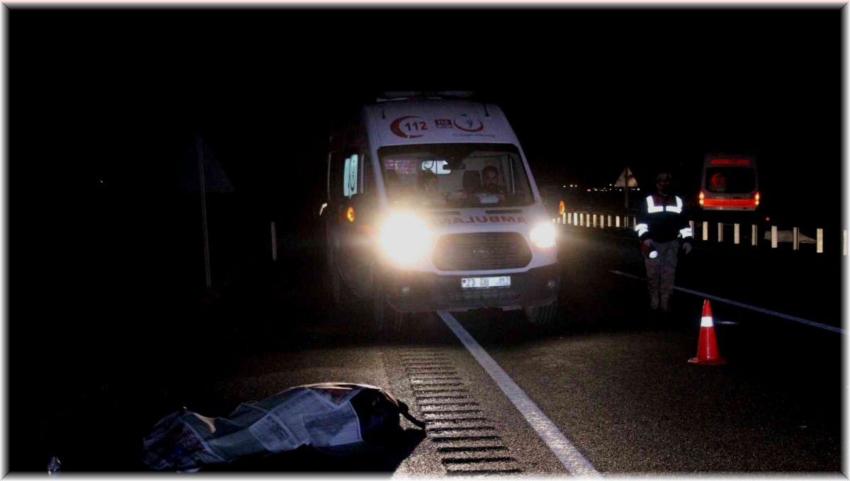 Elazığ'da feci kaza: Transitin çarptığı 2 kişi hayatını kaybetti